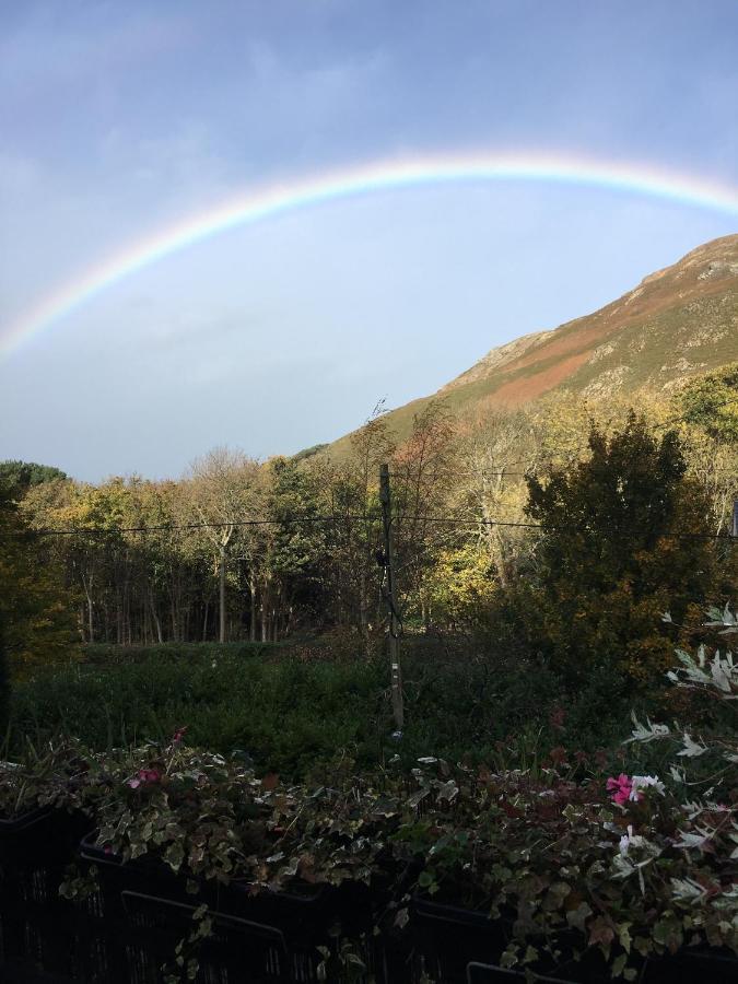 Bed and Breakfast Woodbriar Penmaenmawr Экстерьер фото